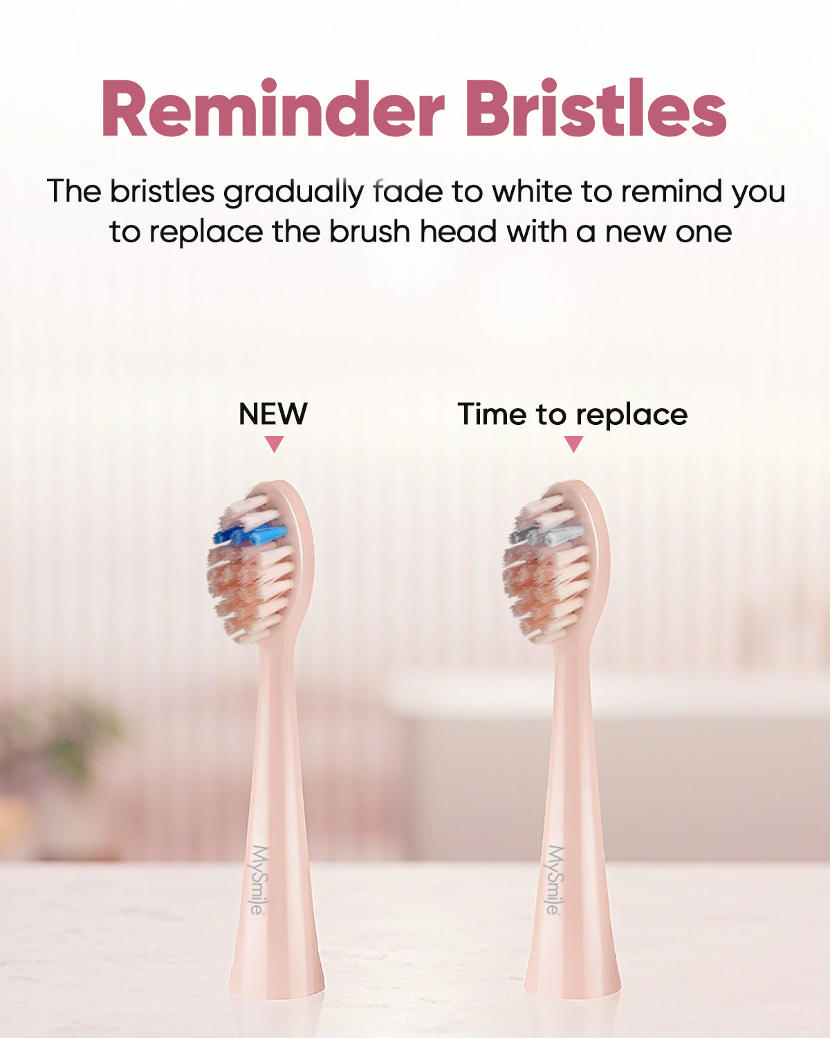 DY156 Essential Sonic Toothbrush