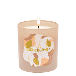 2025 Fragrance Box